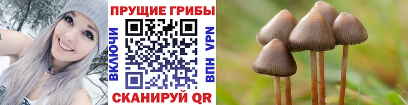 Псилоцибиновые грибы мухоморы  MEGA ONION  Бирюсинск 